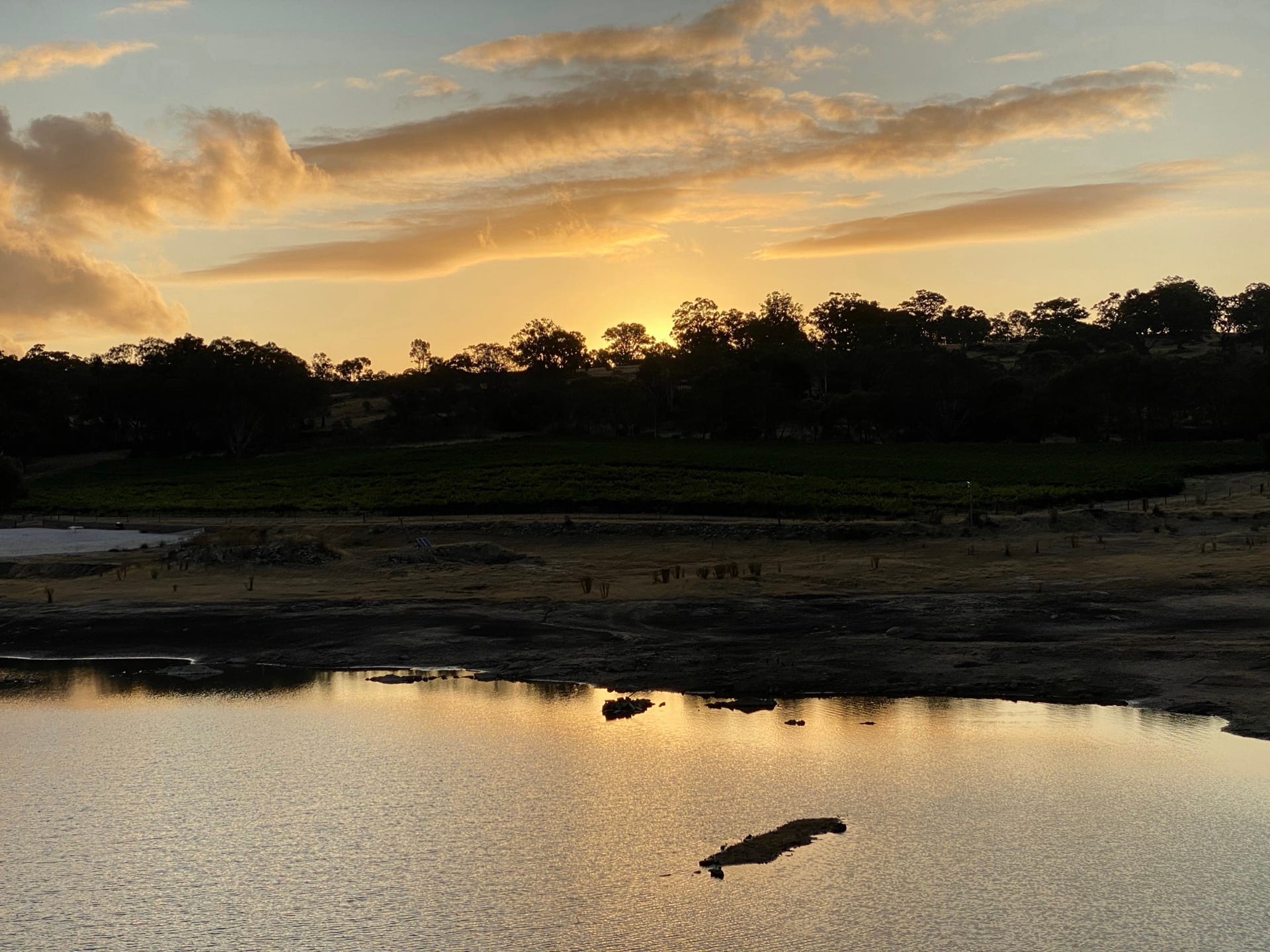 Sunset over water and vineyard country near Kadenge Estate